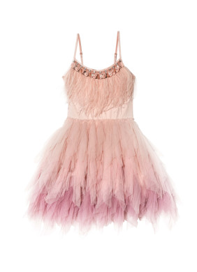 Tutu du Monde Funfetti Tutu Dress in Blush